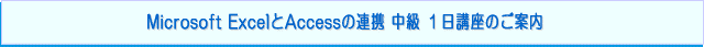 }CN\tg GNZƃANZX̘Ag@u@iMicrosoft ExcelAccess VBA̘Ag ITCZ~i[̂ē