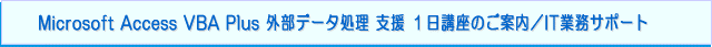 }CN\tg@ANZX VBA ㋉ Z~i[iMicrosoft Access VBȀ㋉uiVBAoҌjFPĈē
