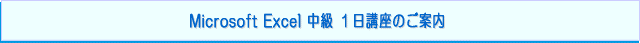 }CN\tg@GNZ  Z~i[iMicrosoft Excel̒uiExceloҌjFPĈē