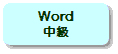 Microsoft Word uKbo҂̂߂̃}CN\tg [huEpEpxZ~i[